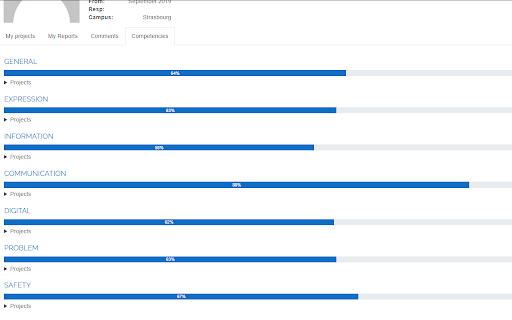 Episkills  from Chrome web store to be run with OffiDocs Chromium online
