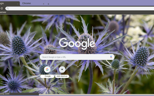 Eryngium  from Chrome web store to be run with OffiDocs Chromium online