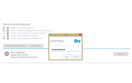 E SIGN  from Chrome web store to be run with OffiDocs Chromium online