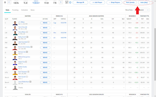 ESPN NHL Fantasy Team Auto Setup  from Chrome web store to be run with OffiDocs Chromium online