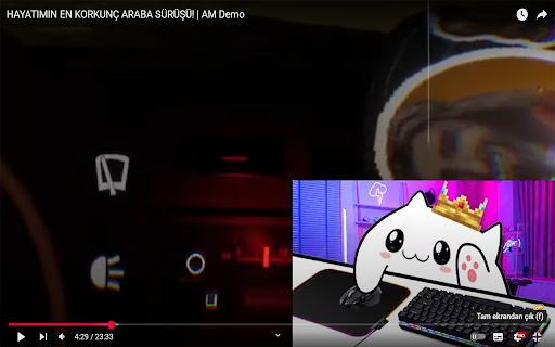 ES Video Zoomer  from Chrome web store to be run with OffiDocs Chromium online