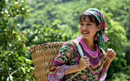 Ethnic girl  from Chrome web store to be run with OffiDocs Chromium online