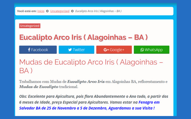 Eucalipto Arco Iris  from Chrome web store to be run with OffiDocs Chromium online