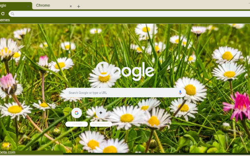 Everlasting Daisy  from Chrome web store to be run with OffiDocs Chromium online