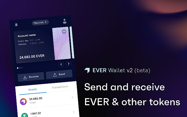 EVER Wallet beta  from Chrome web store to be run with OffiDocs Chromium online