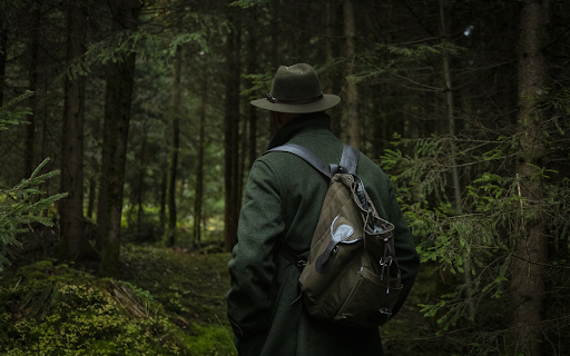 Explore the deep forest  from Chrome web store to be run with OffiDocs Chromium online
