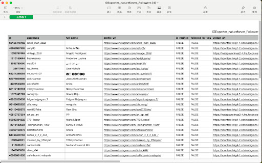 Export IG Followers Following  from Chrome web store to be run with OffiDocs Chromium online