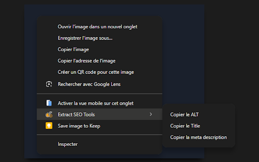 Extract SEO Tools  from Chrome web store to be run with OffiDocs Chromium online