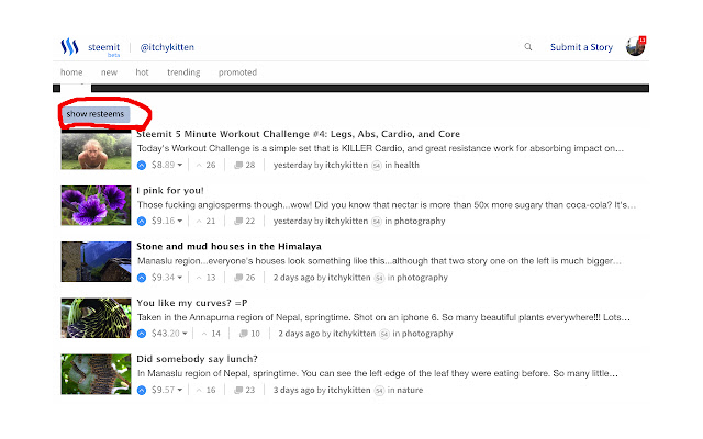 Extreemit  from Chrome web store to be run with OffiDocs Chromium online