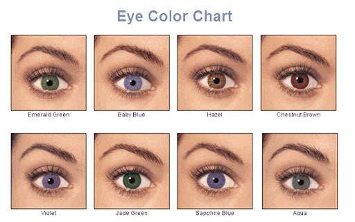 Eye Color Calculator Tool  from Chrome web store to be run with OffiDocs Chromium online