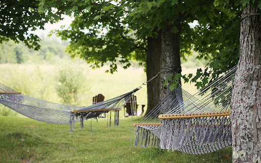 Fabric hammock  from Chrome web store to be run with OffiDocs Chromium online