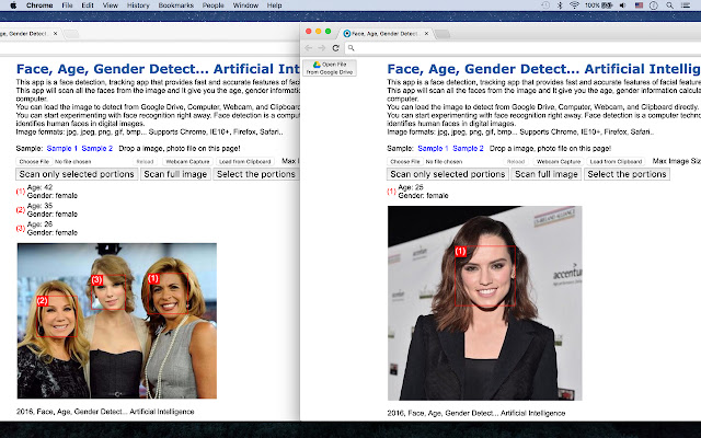Face, Age, Gender Detect  from Chrome web store to be run with OffiDocs Chromium online