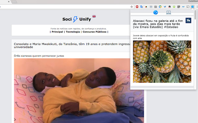 FaceBoost SociUnify ®  from Chrome web store to be run with OffiDocs Chromium online