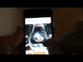 FaceFlip  from Chrome web store to be run with OffiDocs Chromium online