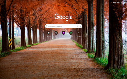 Fall (Autumn) Pathway, South Korea  from Chrome web store to be run with OffiDocs Chromium online