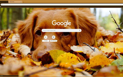 fall dog (1920x1080)  from Chrome web store to be run with OffiDocs Chromium online