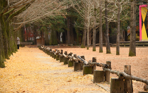 Falling leaf park  from Chrome web store to be run with OffiDocs Chromium online