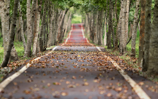 Falling leaf path  from Chrome web store to be run with OffiDocs Chromium online