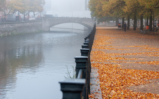 Falling leaves by the river  from Chrome web store to be run with OffiDocs Chromium online
