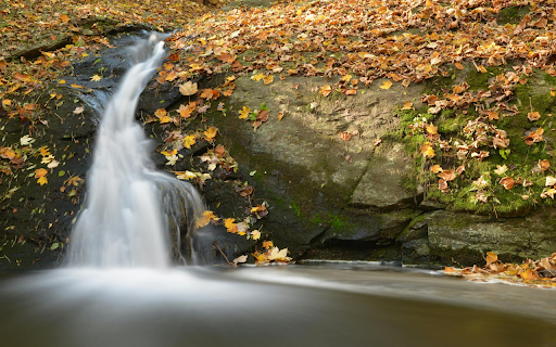 Falling Leaves Stream Bank  from Chrome web store to be run with OffiDocs Chromium online