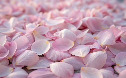 falling petals  from Chrome web store to be run with OffiDocs Chromium online
