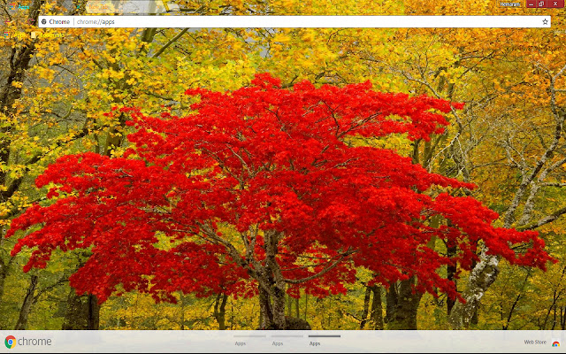 Fall Landscape Newhalem Washington  from Chrome web store to be run with OffiDocs Chromium online
