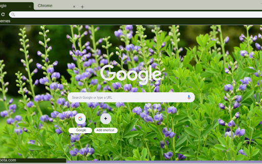 False Indigo  from Chrome web store to be run with OffiDocs Chromium online