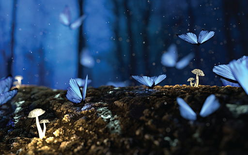Fantasy Butterflies  from Chrome web store to be run with OffiDocs Chromium online