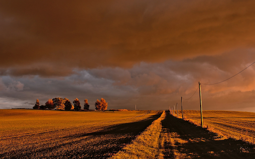 Farm  from Chrome web store to be run with OffiDocs Chromium online