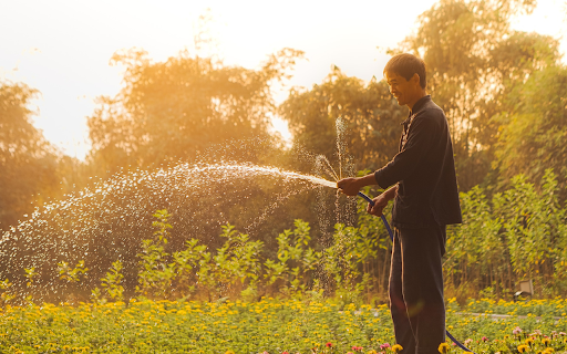 Farmer watering flowers from Chrome web store to be run with OffiDocs Chromium online Farmer watering flowers from Chrome web store to be run with OffiDocs Chromium online