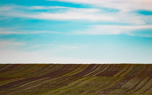 FARM LAND THEME  from Chrome web store to be run with OffiDocs Chromium online