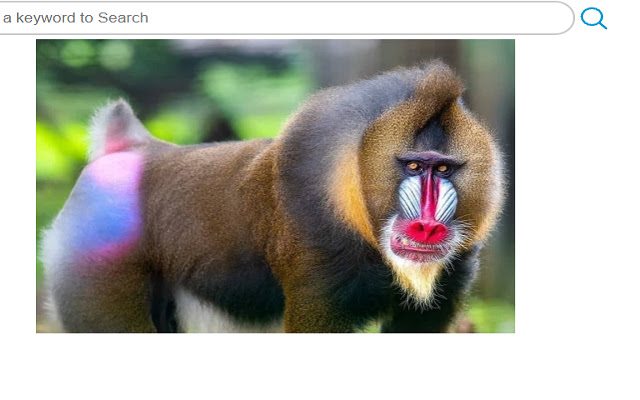 FavTabs Best Monkeys Mandrills  from Chrome web store to be run with OffiDocs Chromium online
