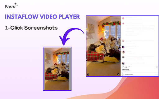 Favv InstaFlow Video Player  from Chrome web store to be run with OffiDocs Chromium online