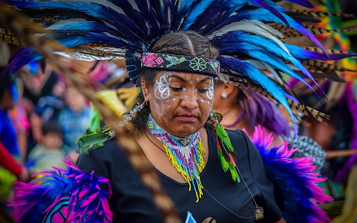 Feather costume  from Chrome web store to be run with OffiDocs Chromium online
