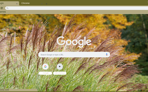 Feather Reed Grass  from Chrome web store to be run with OffiDocs Chromium online