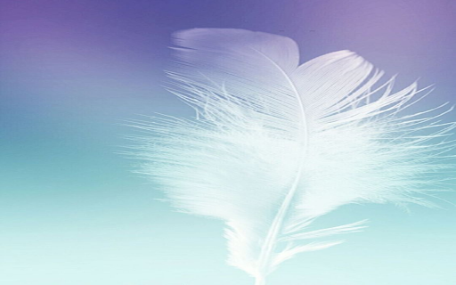 Feather wallpaper  from Chrome web store to be run with OffiDocs Chromium online