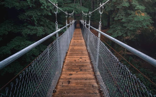 Features a suspension bridge that stretches  from Chrome web store to be run with OffiDocs Chromium online