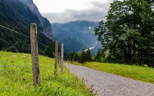 Fences and gravel roads  from Chrome web store to be run with OffiDocs Chromium online