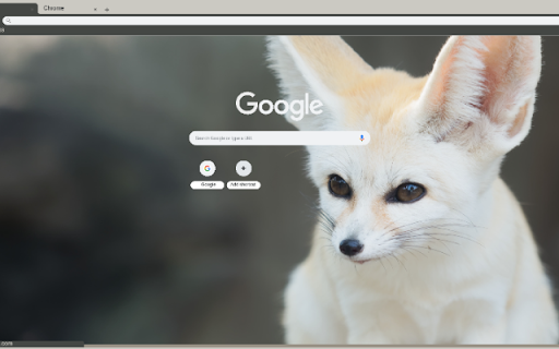 Fennec Fox  from Chrome web store to be run with OffiDocs Chromium online