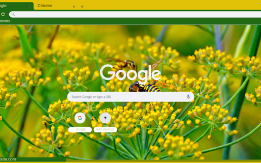 Fennel Flower  from Chrome web store to be run with OffiDocs Chromium online