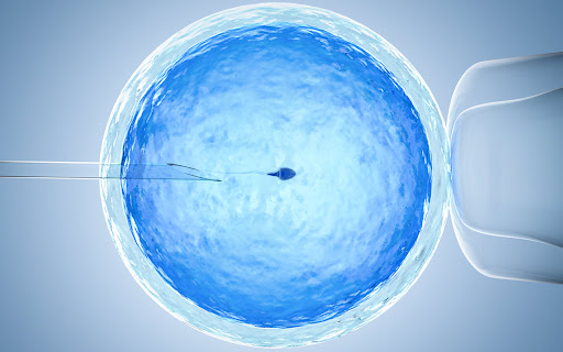 Fertility Support  from Chrome web store to be run with OffiDocs Chromium online