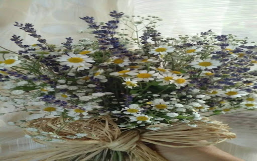field flower bouquet wallpaper  from Chrome web store to be run with OffiDocs Chromium online