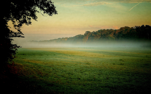 Field of grass and bones  from Chrome web store to be run with OffiDocs Chromium online