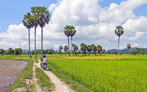 Field road  from Chrome web store to be run with OffiDocs Chromium online