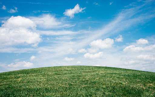 Field Under White  from Chrome web store to be run with OffiDocs Chromium online