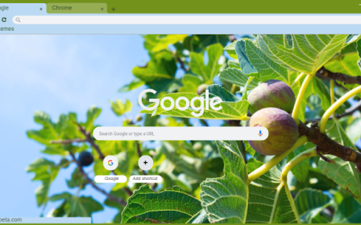 Fig Tree  from Chrome web store to be run with OffiDocs Chromium online