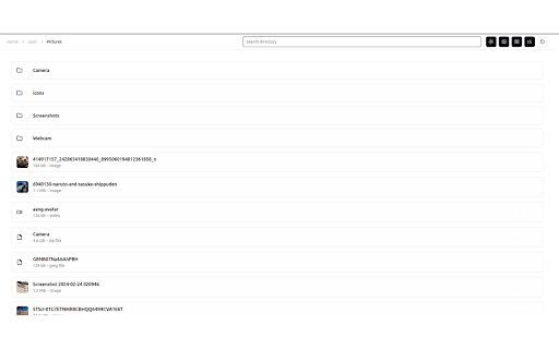 Files Explorer  from Chrome web store to be run with OffiDocs Chromium online