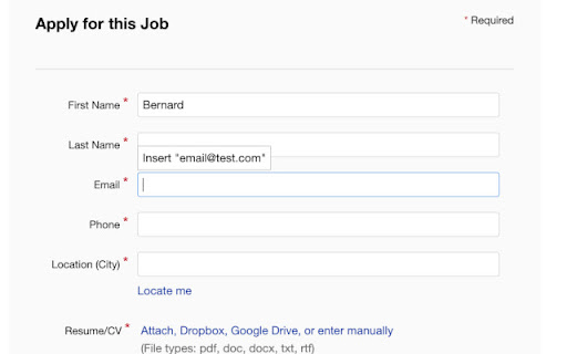 Fill In: Personal Info Storage  from Chrome web store to be run with OffiDocs Chromium online