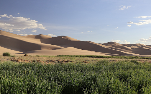 Fine sand and green grass  from Chrome web store to be run with OffiDocs Chromium online