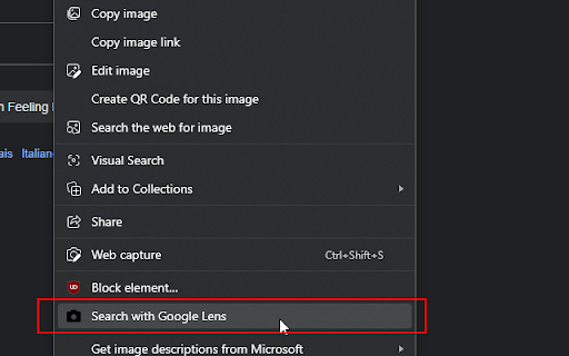 FireSearch  from Chrome web store to be run with OffiDocs Chromium online